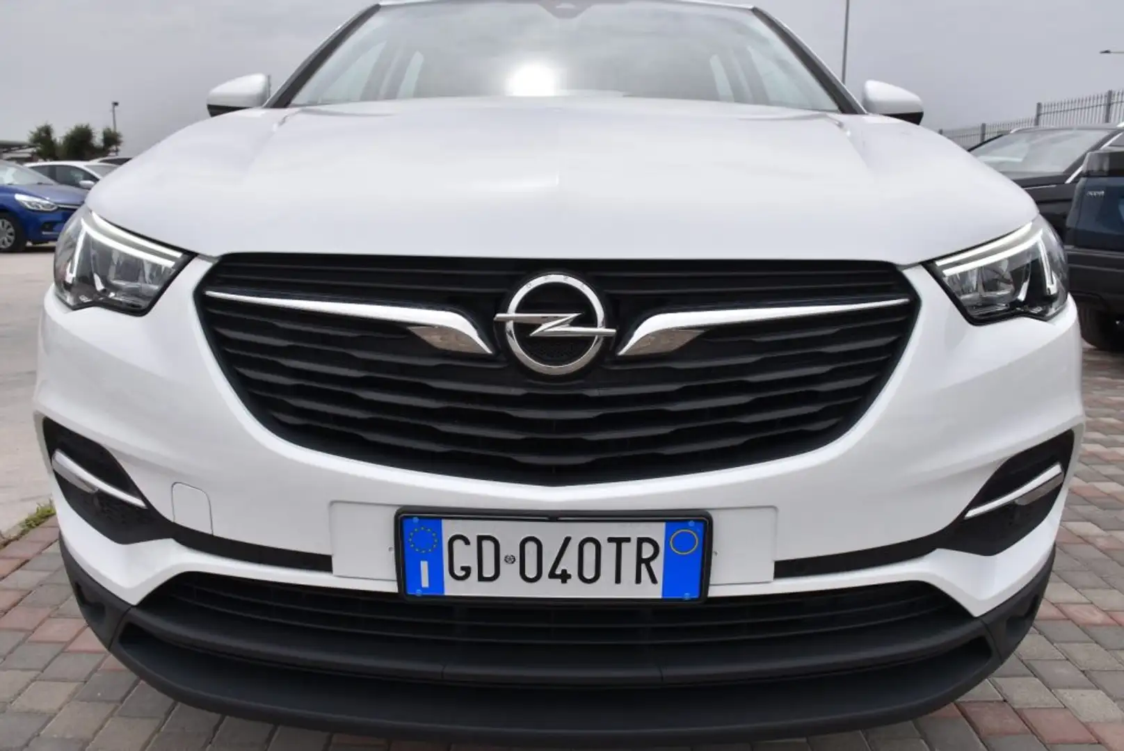 Opel Grandland X 1.5 diesel Ecotec S&S aut. Business Edition *Navi* Bianco - 2