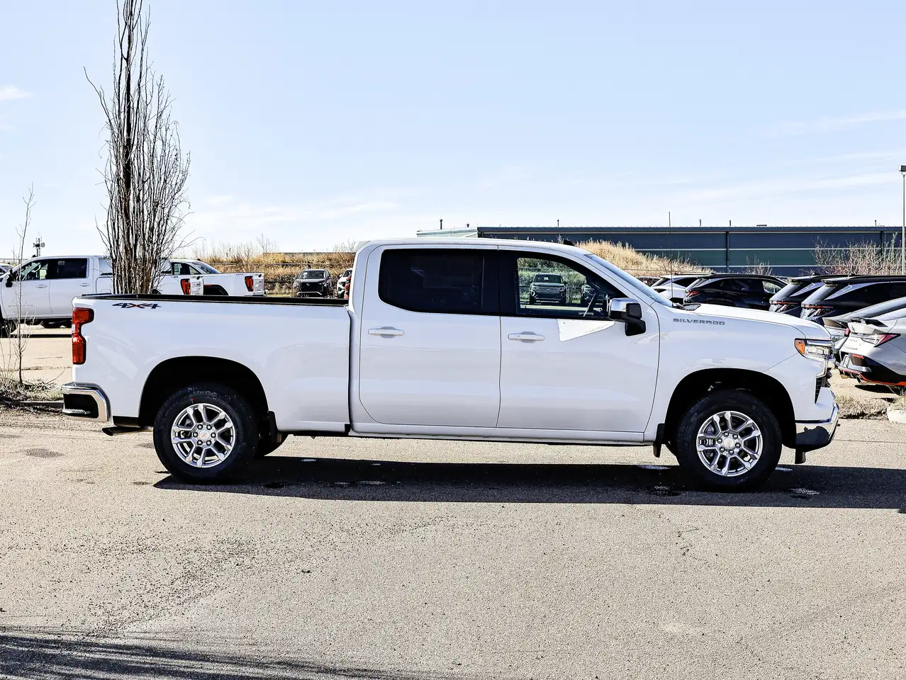 Chevrolet Silverado 1500 снимка Chevrolet Silverado 1500