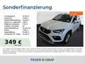 SEAT Ateca X-Perience 1.5 TSI 7-Gang-DSG Weiß - thumbnail 1