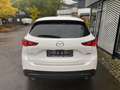 Mazda CX-5 Homura inkl. Winterkompletträder Weiß - thumbnail 4