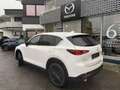 Mazda CX-5 Homura inkl. Winterkompletträder Weiß - thumbnail 3
