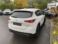Mazda CX-5 Homura inkl. Winterkompletträder Weiß - thumbnail 5