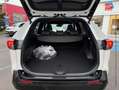 Toyota RAV 4 2.5 Hybride Rechargeable 306ch Collection AWD-i MY25 Blanc - thumbnail 14