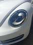 Volkswagen Maggiolino 2.0 TDI DESIGN 120CV NEOPATENTATI Blanc - thumbnail 8