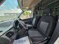 Fiat Doblo Doblò 1.6 MJT 105 CV PL-TN Cargo Maxi 2 POSTI Bianco - thumbnail 14
