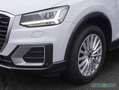 Audi Q2 35 TFSI design S tronic AHK GRA LED PDC Sitzh Bílá - thumbnail 13