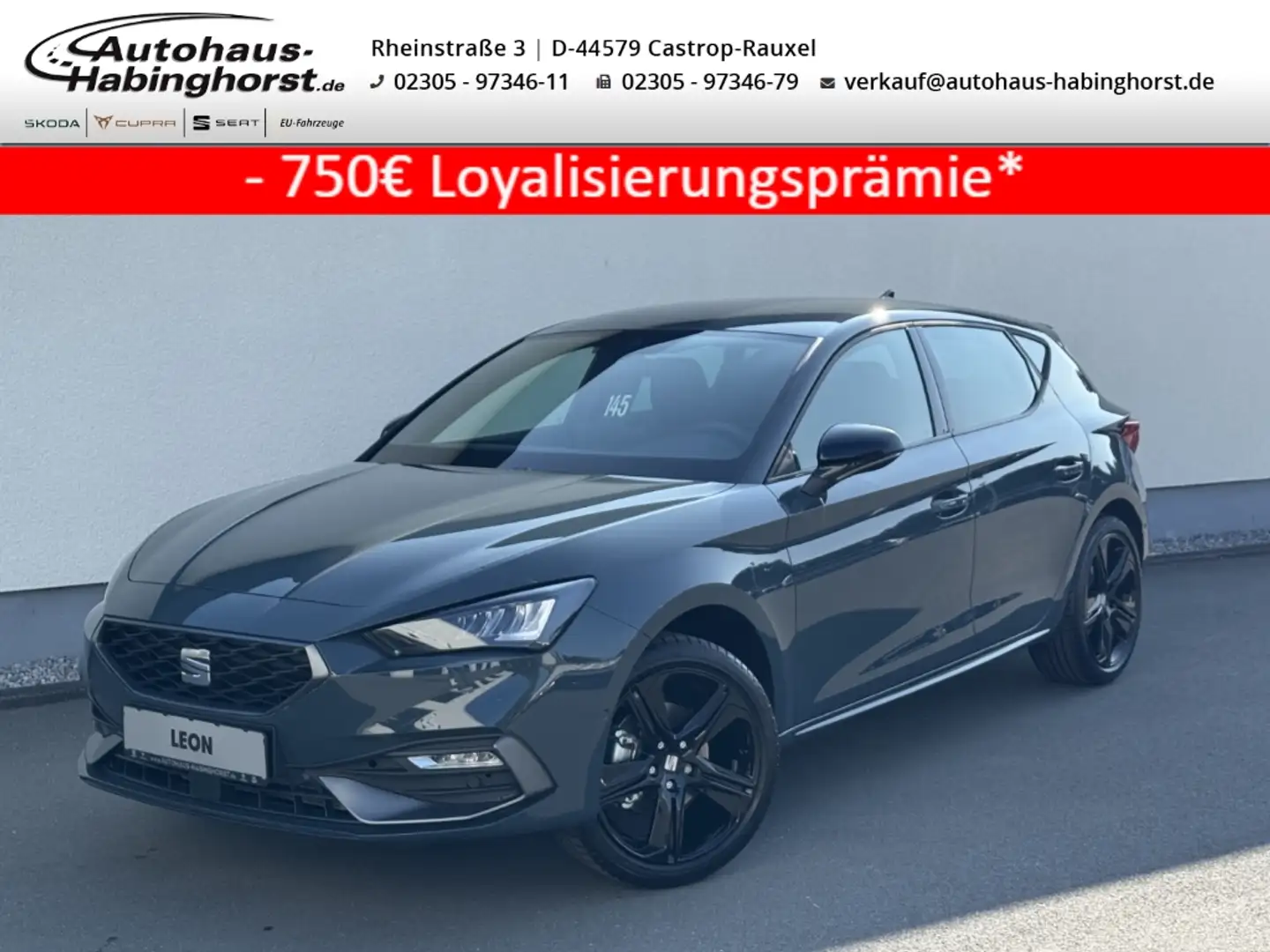 SEAT Leon 1.5 eTSI DSG FR Black Edition Navi ParkAssist LED Blau - 1