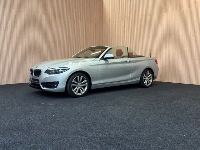 BMW 220 220i Cabrio Aut. Sport Line|PDC| Navi|Verw sportst