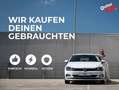 Skoda Superb Combi 1.4 TSI iV Sportline MATRIX+LED+RFK Grau - thumbnail 22