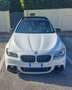 BMW 520 520d Touring Business 190cv auto - thumbnail 2