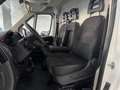 Citroen Jumper Fg. 2.2BlueHDi 33 L2H2 S&S 140 Blanco - thumbnail 11