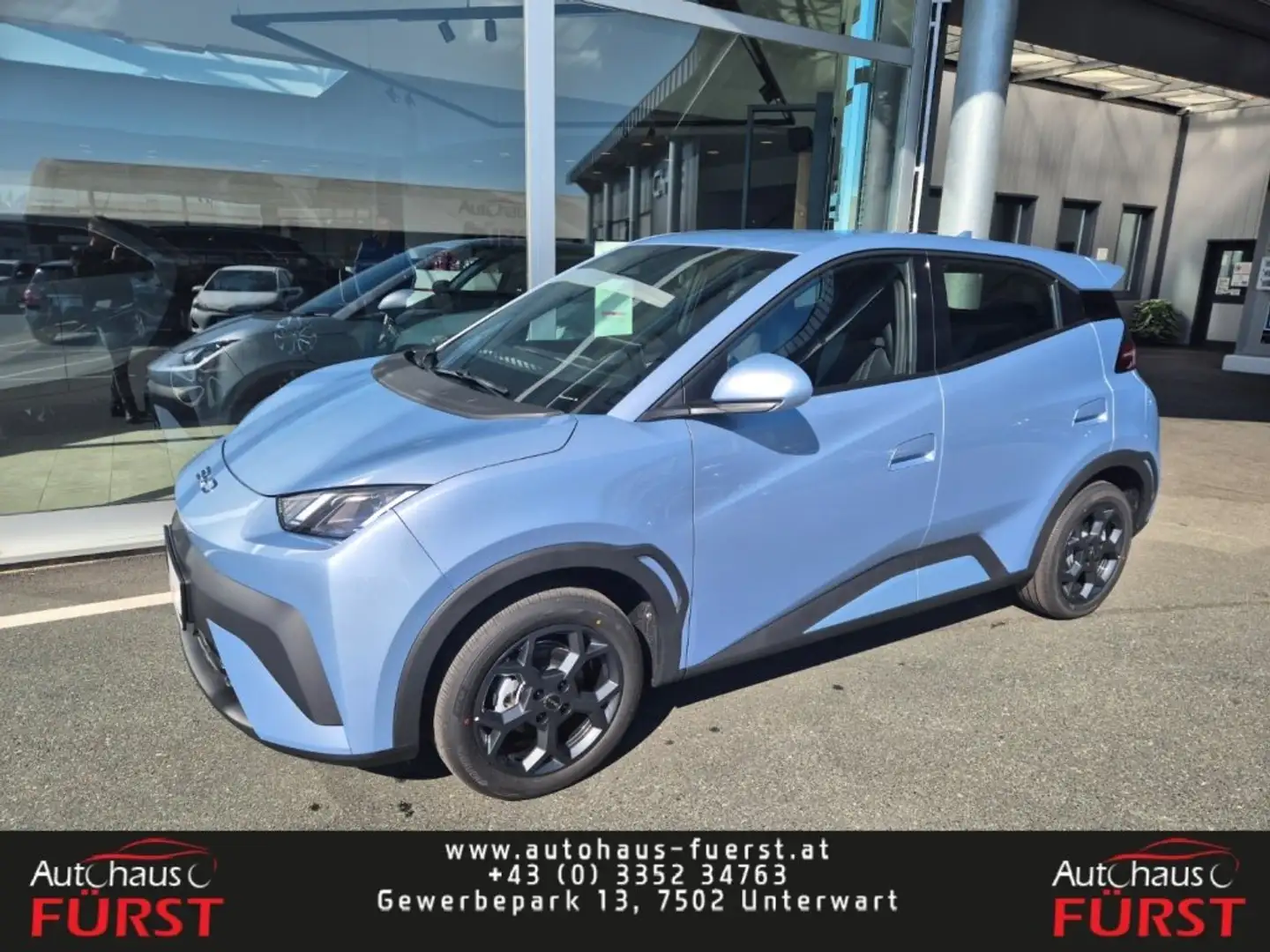 BYD Dolphin Surf Boost Blau - 1