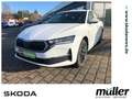 Skoda Octavia Combi Tour AHZV SmartLink DAB Navi Weiß - thumbnail 1