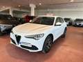 Alfa Romeo Stelvio Ti 2.2 Turbodiesel AT8 Q4 SPOTICAR Bianco - thumbnail 1