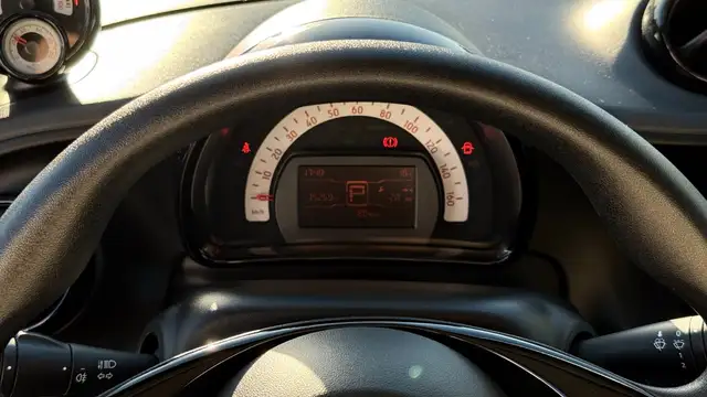 Smart Fortwo view 17