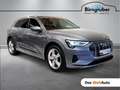 Audi e-tron 50 quattro Grau - thumbnail 1