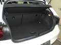 Volkswagen Polo 1.0 TSI Style SHZ MATRIX-LED DAB Weiß - thumbnail 8