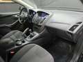 Ford Focus 5p 1.6 tdci Titanium 115cv - thumbnail 11
