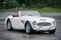 Austin-Healey 100 100/6 bn4 | Knock-off wire wheels Weiß - thumbnail 2