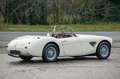 Austin-Healey 100 100/6 bn4 | Knock-off wire wheels Weiß - thumbnail 9
