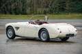 Austin-Healey 100 100/6 bn4 | Knock-off wire wheels Weiß - thumbnail 8