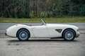Austin-Healey 100 100/6 bn4 | Knock-off wire wheels Weiß - thumbnail 10