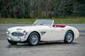 Austin-Healey 100 100/6 bn4 | Knock-off wire wheels Weiß - thumbnail 5