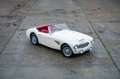 Austin-Healey 100 100/6 bn4 | Knock-off wire wheels Weiß - thumbnail 1