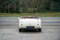 Austin-Healey 100 100/6 bn4 | Knock-off wire wheels Weiß - thumbnail 7