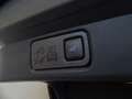 Ford Mustang Mach-E 258kW Batería 98.8Kwh AWD Blanco - thumbnail 19