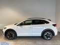 Volkswagen Taigo 1.0 TSI DSG R-Line NAVI KLIMA AHK REAR VIEW Bianco - thumbnail 5
