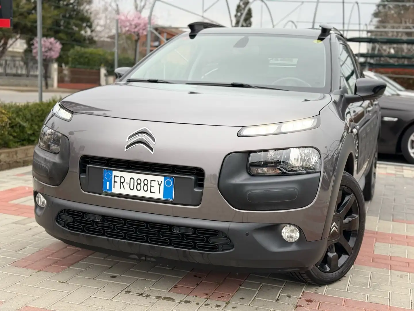 Citroen C4 Cactus BlueHDi 100 S&S Shine Grau - 1
