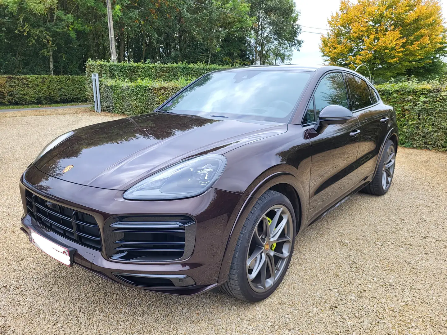 Porsche Cayenne Cayenne E-Hybrid Tiptronic S Bruin - 1