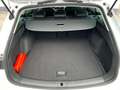 SEAT Leon 1.5 eTSI FR/LED/AHK/Virtual/R-Kam/ACC/SHZ Weiß - thumbnail 15