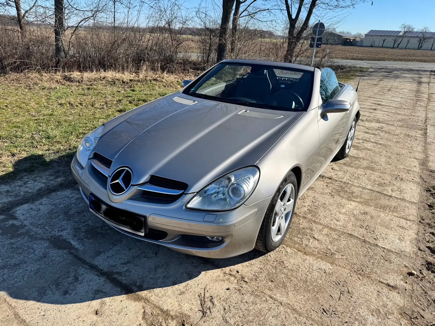 Mercedes-Benz SLK 280 SLK 280 7G-TRONIC Silber - 1