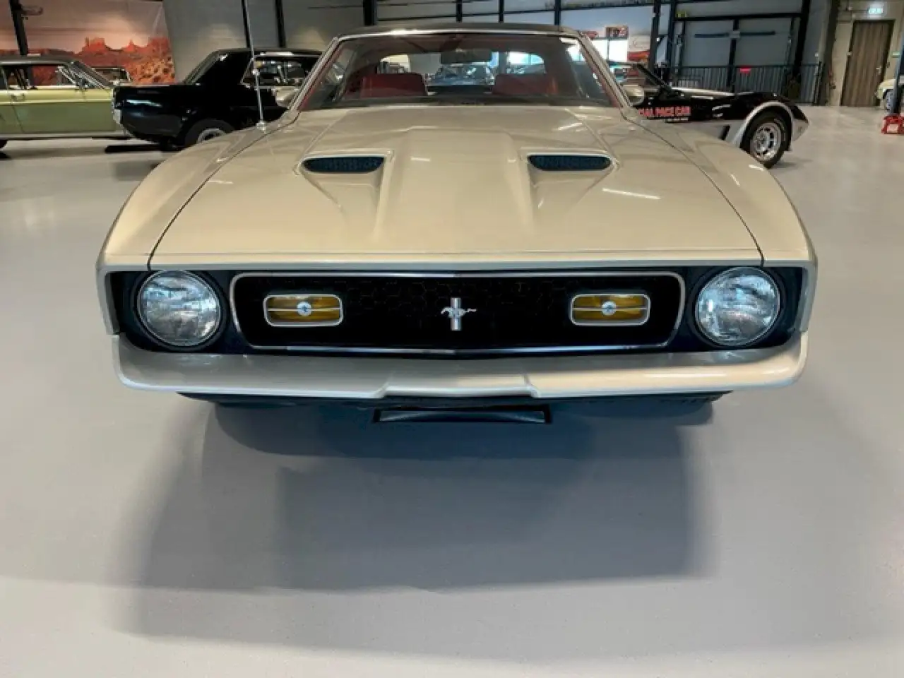 Ford Mustang Coupe Grande, foto 2