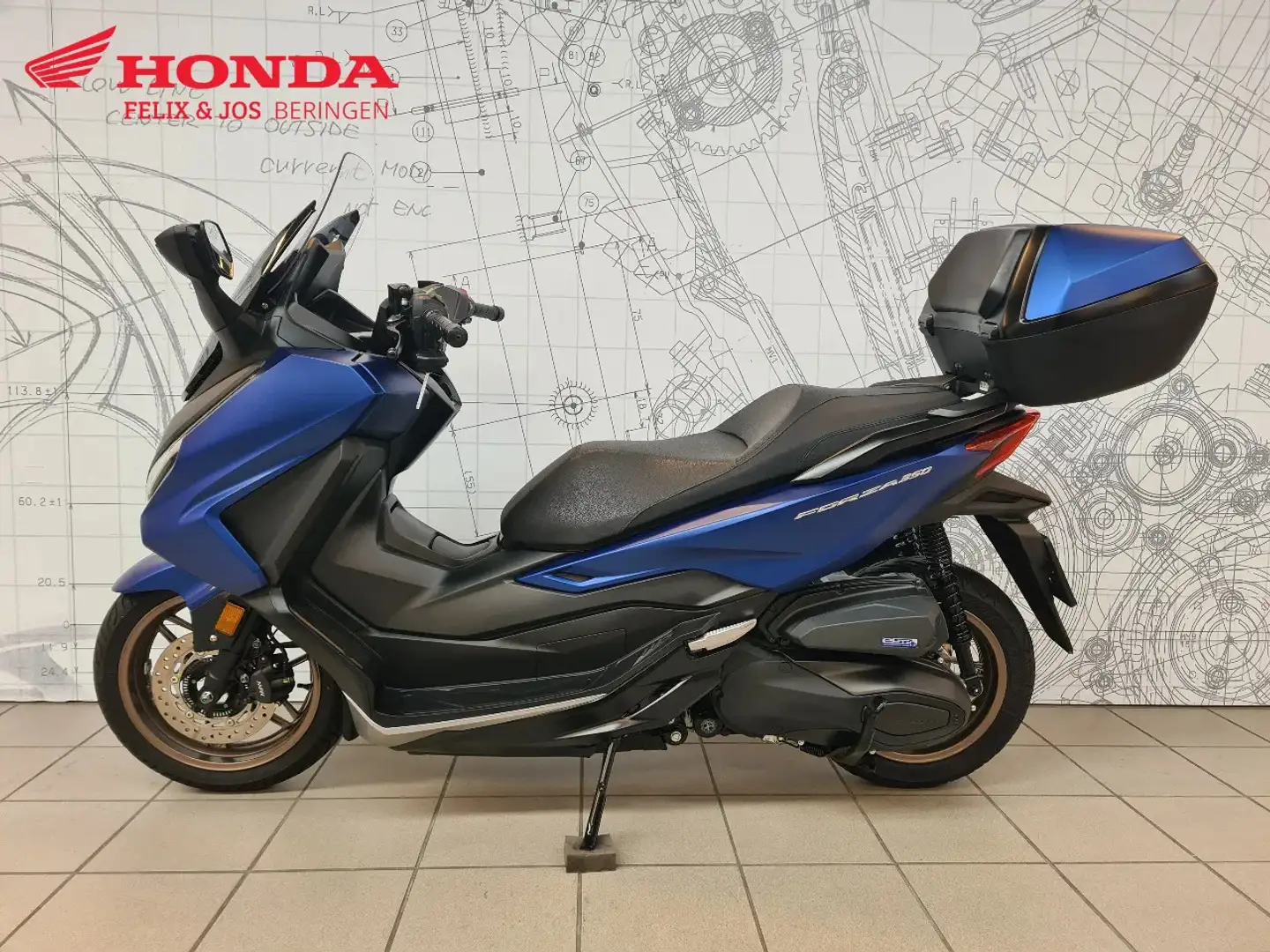 Honda Forza 350 NSS Bleu - 2
