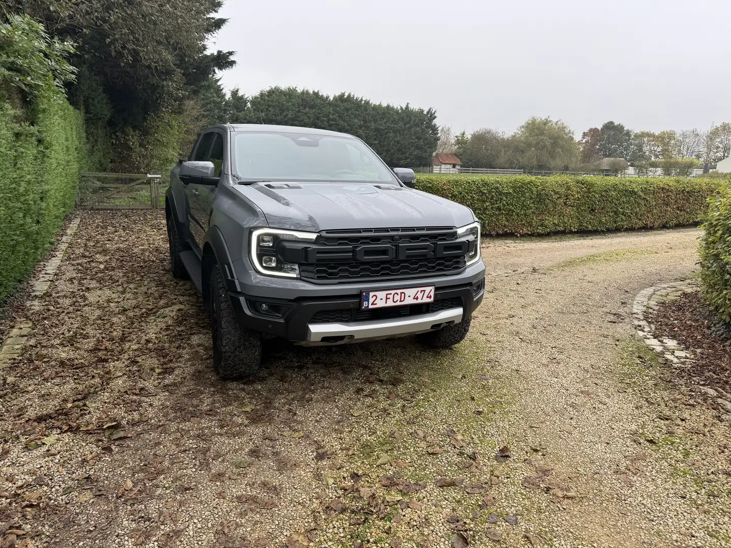 Ford Ranger Raptor Raptor Gris - 1
