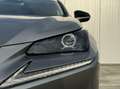 Lexus NX 300h AWD Sport Edition|Navi|NAP|Schuifdak Grijs - thumbnail 19