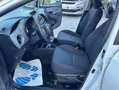 Toyota Yaris 1.0 Business-CLIMA-SOLO 1300 KM-1 PROP- Blanc - thumbnail 15
