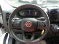 Fiat Ducato 35 180 L5H3 Maxi Kasten KAMERA/KLIMTRONIK Weiß - thumbnail 15