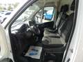 Fiat Ducato 35 180 L5H3 Maxi Kasten KAMERA/KLIMTRONIK Weiß - thumbnail 3
