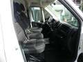 Fiat Ducato 35 180 L5H3 Maxi Kasten KAMERA/KLIMTRONIK Weiß - thumbnail 4