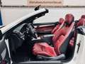Mercedes-Benz E 250 Cabrio Aut. Blanco - thumbnail 18