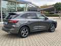 Ford Kuga Plug-In Hybrid ST-Line  AHK Winter Paket Grau - thumbnail 4