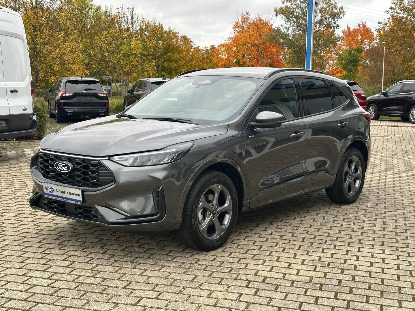 Ford Kuga Plug-In Hybrid ST-Line  AHK Winter Paket Grau - 1