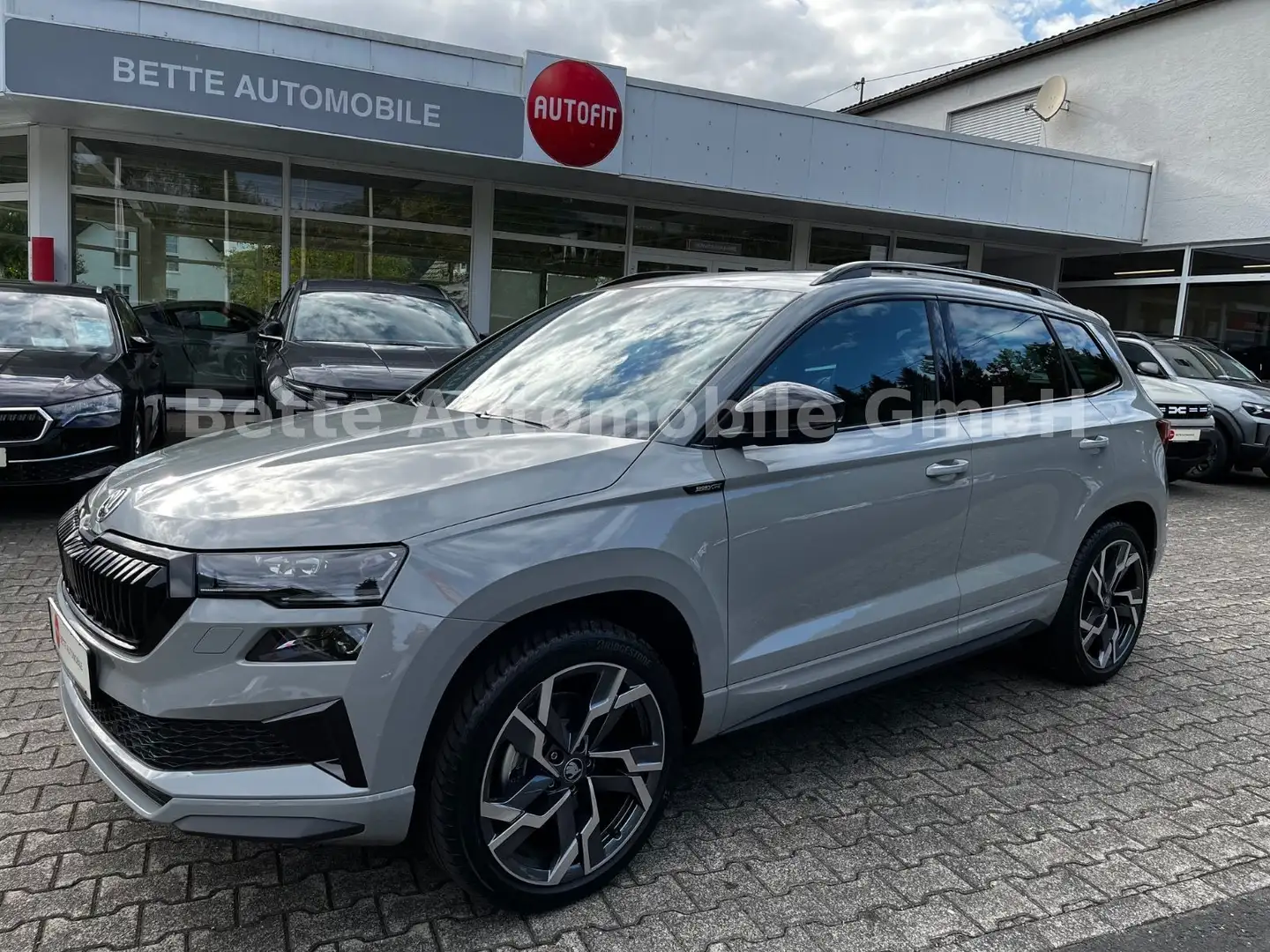 Skoda Karoq 2.0l TSI DSG 4x4 Sportline *LEDER*AHK*PANO Grau - 1
