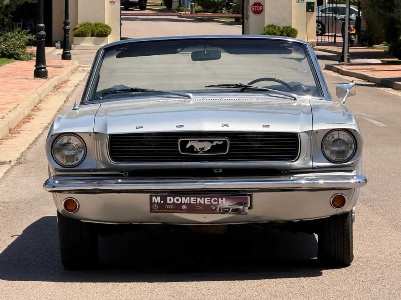 Ford 289 V8 4700cc, foto 4