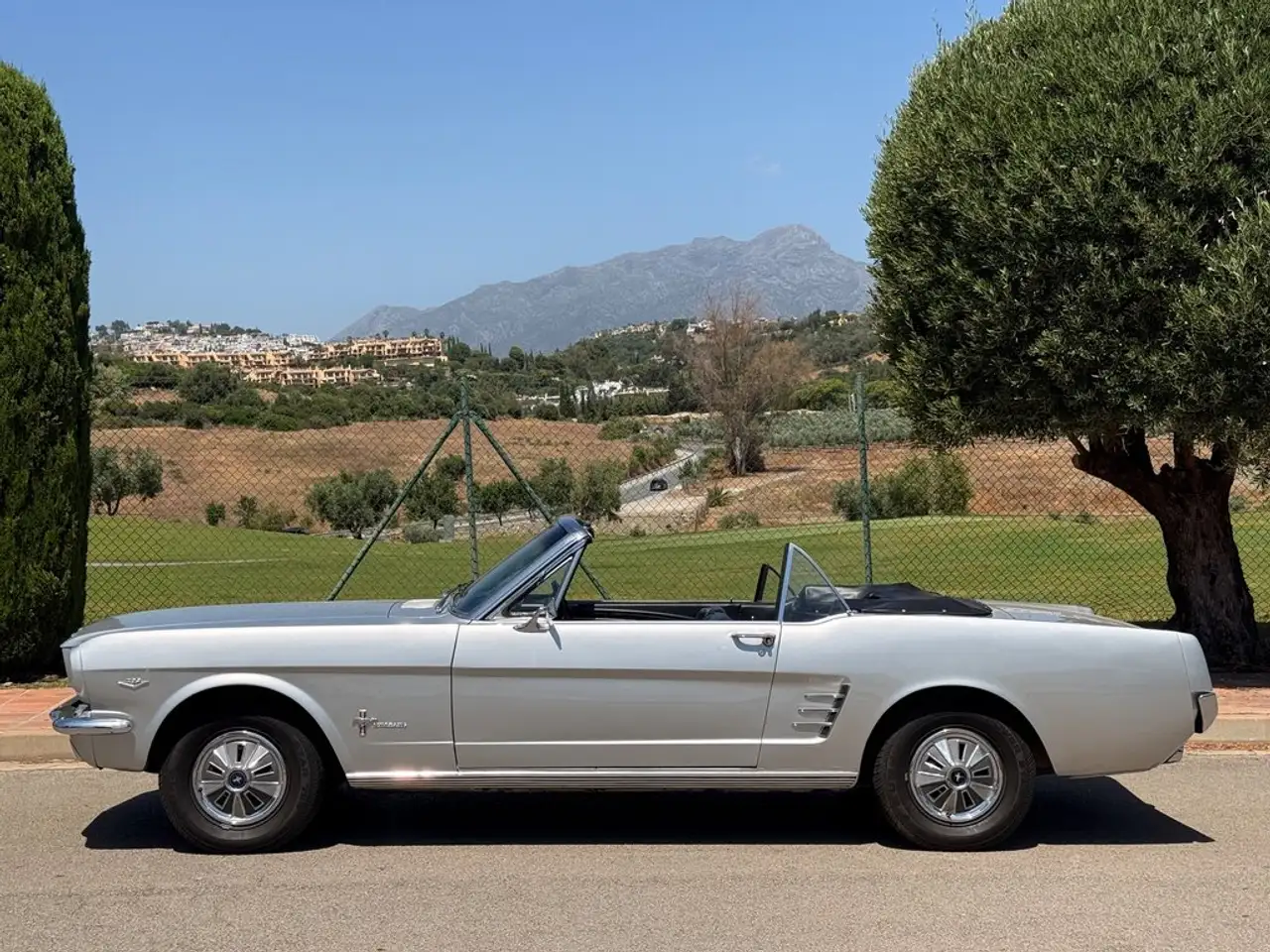 Ford 289 V8 4700cc, foto 7