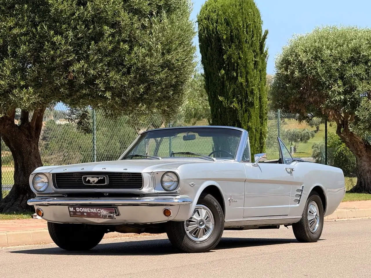 Ford 289 V8 4700cc, foto 5